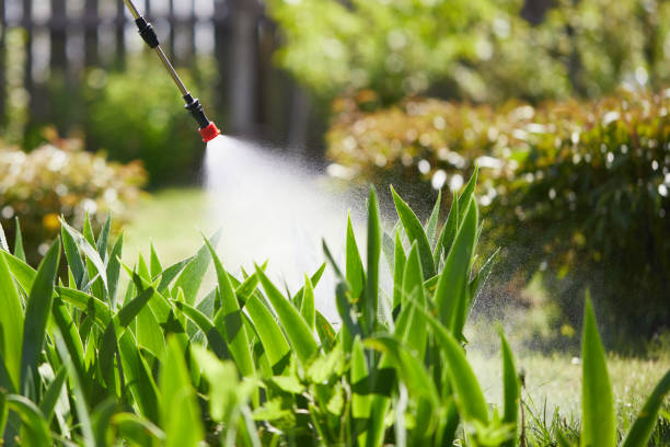 Tamper-Resistant Bait Stations for Rodents in Clarkston Heights-Vineland