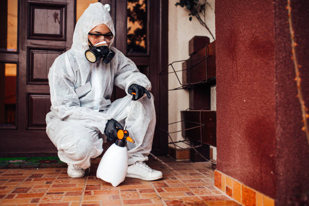 Attic and Crawl Space Rodent Treatment in Clarkston Heights-Vineland